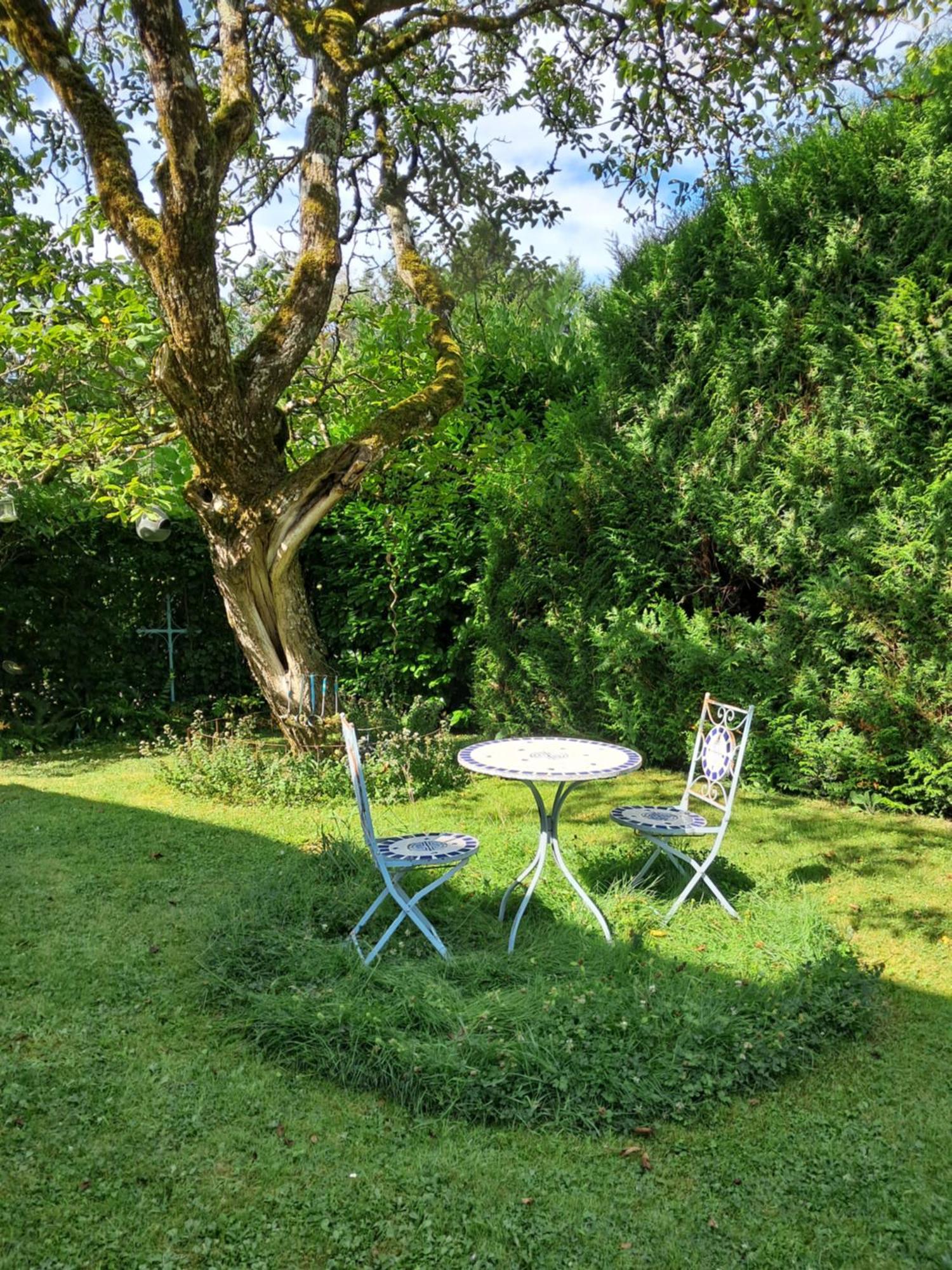 Le Buisson De La Gariole Bed & Breakfast Aubigny-sur-Nère Eksteriør bilde